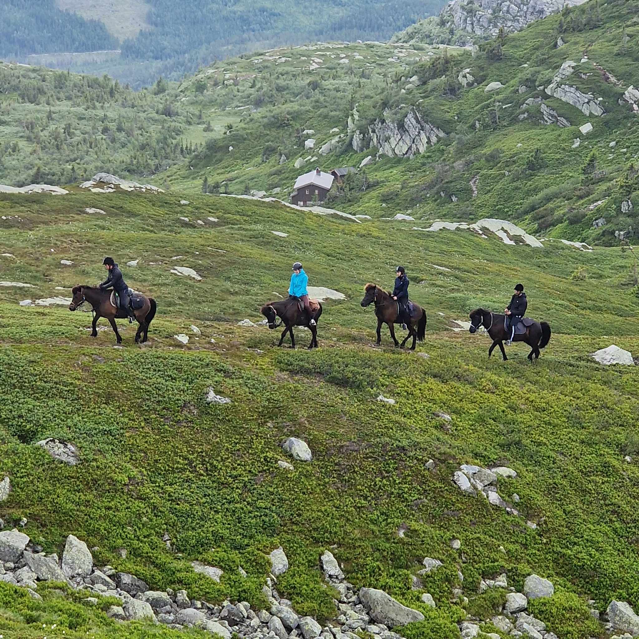 Fjellheimen på hesteryggen.