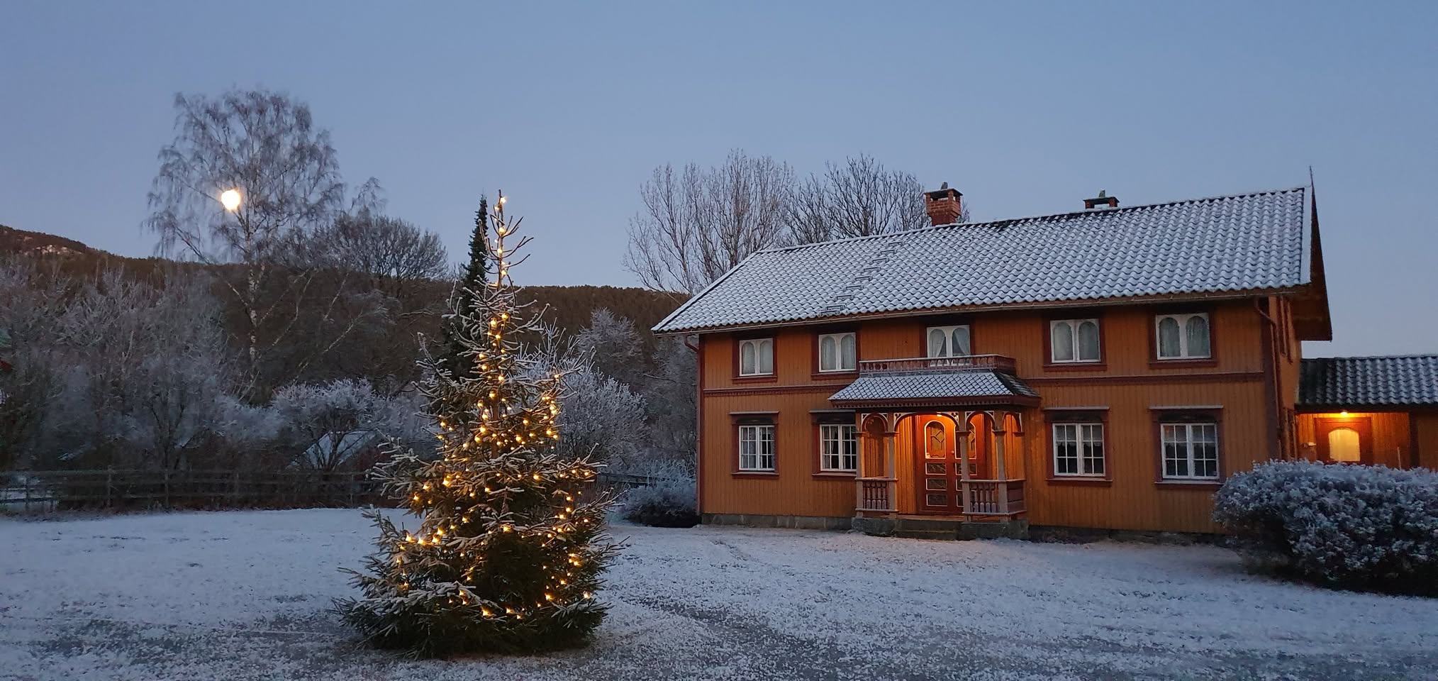Snødekt trehus ved siden av julepyntet grantre i vinterlandskap.