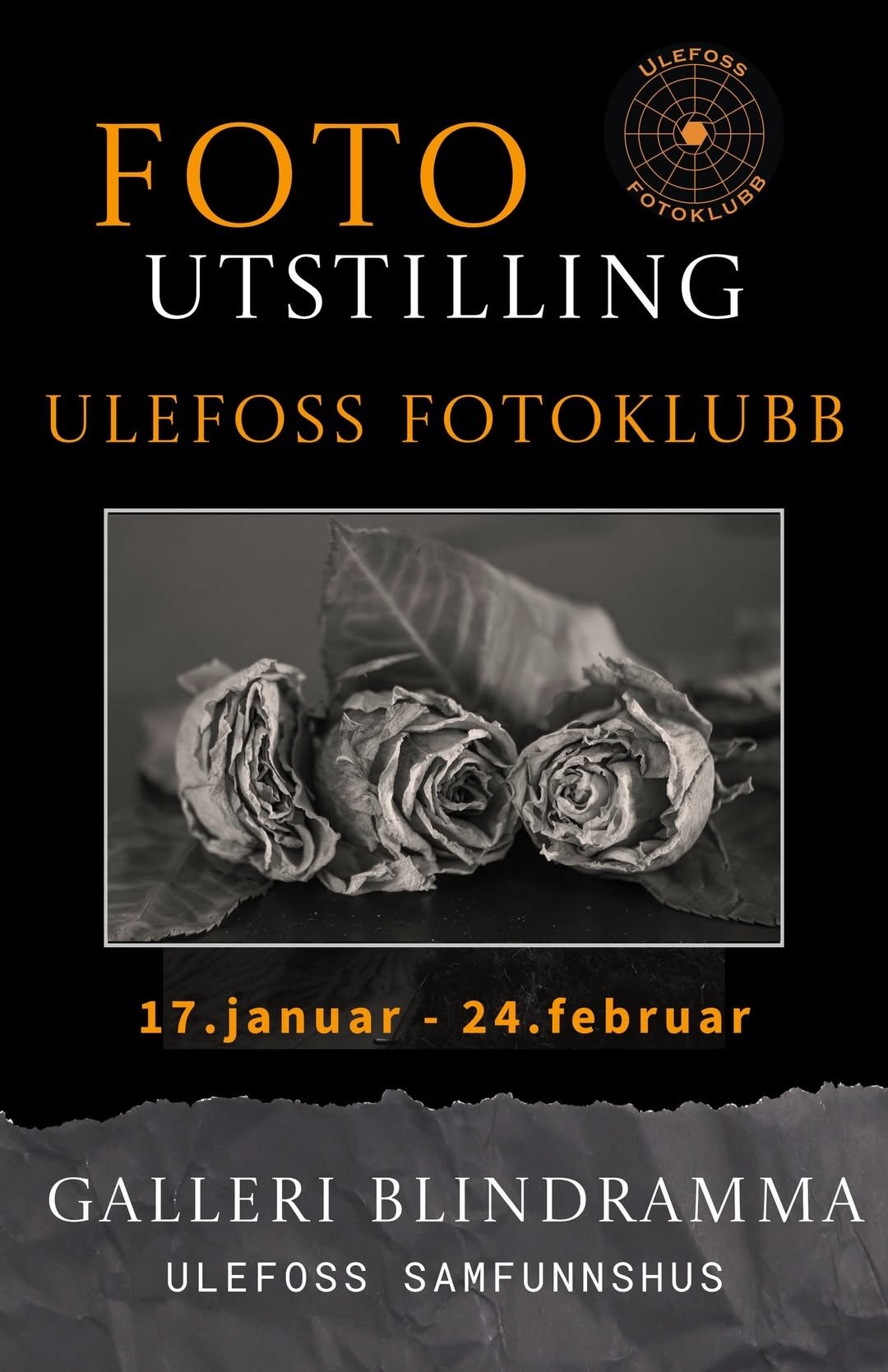 Fotoutstilling av Ulefoss Fotoklubb: Visne roser ved Galleri Blindramma, 17. januar-24. februar.